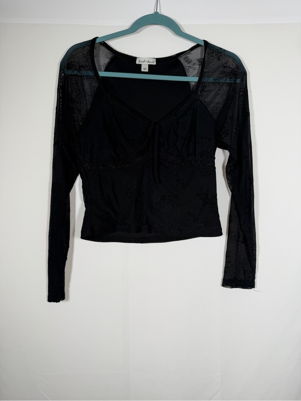 Whimsigoth Lace Trim Black Velvet Burnout Sheer Long Sleeve Babydoll Crop Top